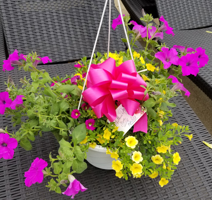 Hanging Basket of Flowers
